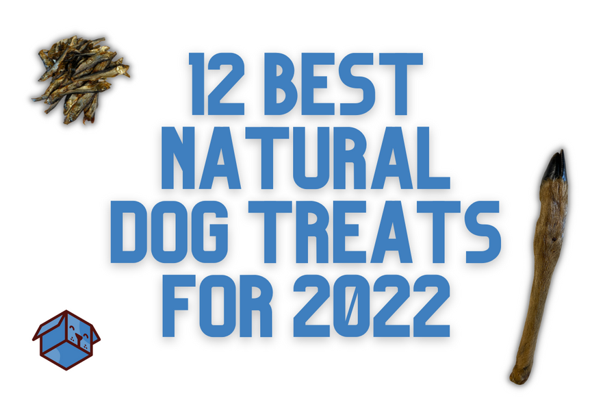 The 12 Best Natural Dog Treats For 2022