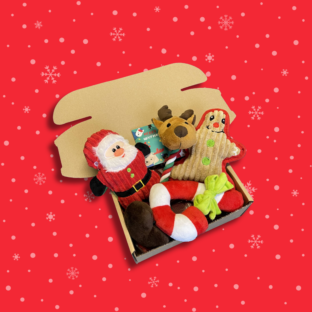 Small Christmas Natural Dog Treat Box (with Premium Toy)