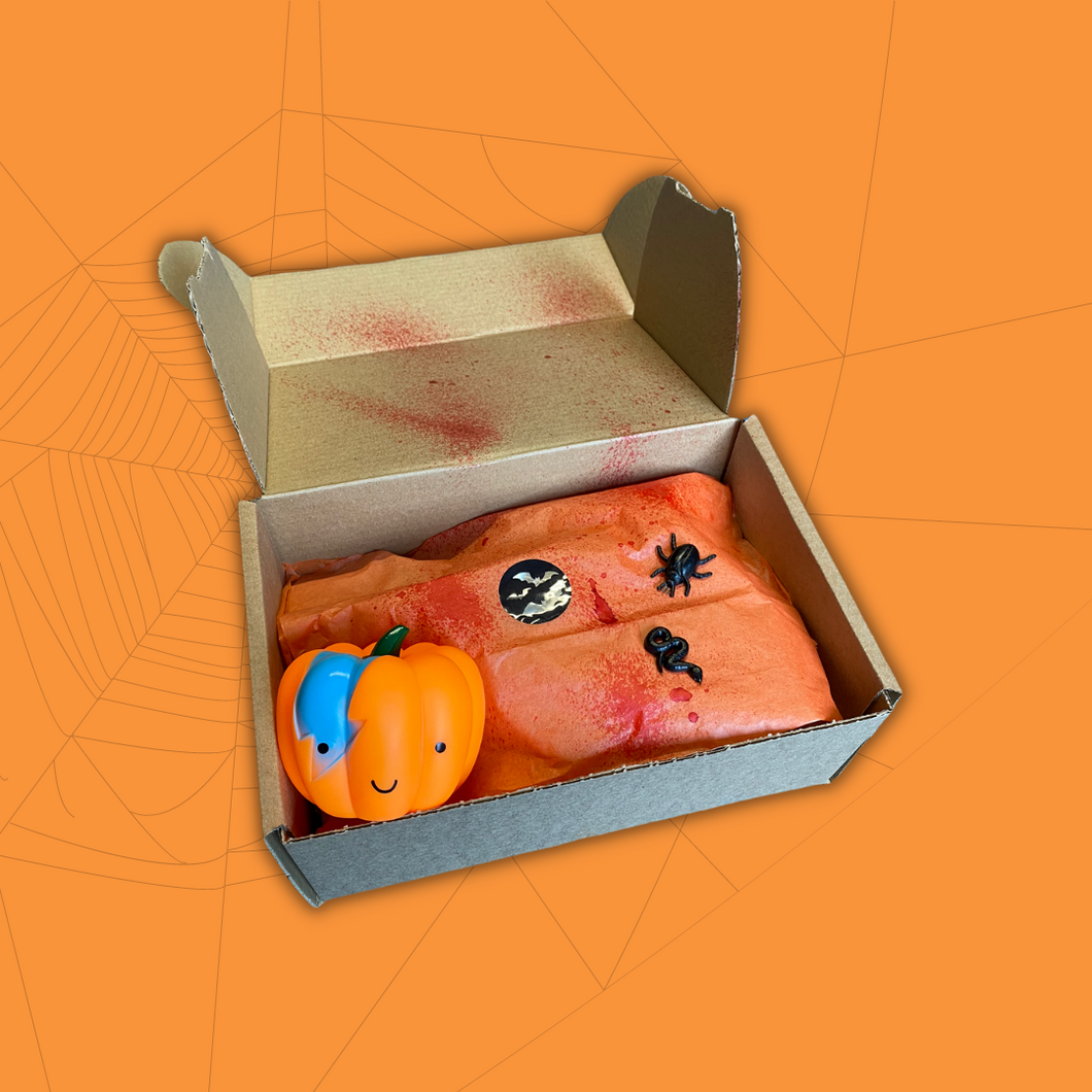 Trick or Treat Box - Small with Premium Treats & Spooky Toy